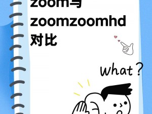 Zoom 人与 ZoomZoomHD 的区别和差异