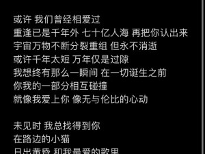 抖音哥哥面前流淌的弯弯旋律：歌曲探索与赏析