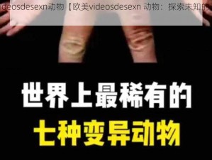 欧美videosdesexn动物【欧美videosdesexn 动物：探索未知的动物世界】