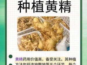 国精产品一二三四线免费;如何免费获取国精产品四线？