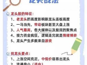 巨龙法则新手攻略大全：快速升级技巧全解析与实战指南