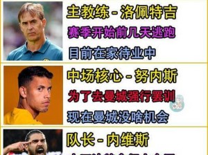 狼队巨星级球员属性深度解析：全方位探讨球队核心球员的技能与特点