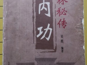 《江湖之路：加速内力修炼的秘法》