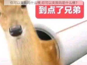 你可以夹我吗什么梗,你可以夹我吗是什么梗？