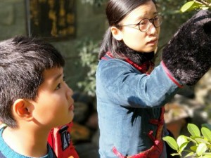 一级片麻豆，备受赞誉的在线视频平台，拥有丰富内容和精彩体验