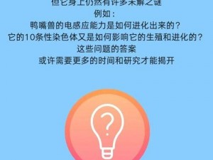 造物法则3：揭秘未知时空的奥秘与新生时刻这个围绕着造物法则3展开，同时避免了您提到的标点符号