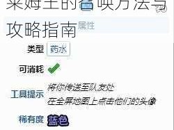 关于泰拉瑞亚游戏史莱姆王的召唤方法与攻略指南