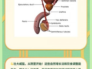 J8又大又粗又长又硬,如何让 J8 变得又大又粗又长又硬？