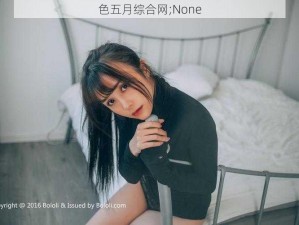 色五月综合网;None