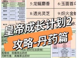 皇帝成长计划2：药方之秘，国泰民安的智慧与策略