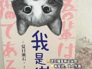 森口修的猫：探寻人与猫之间的独特情缘和温馨故事