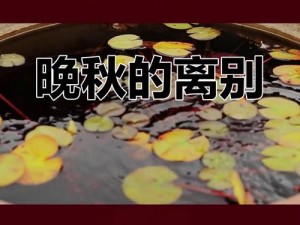 抖音秋风落叶下的时光旋律：秋叶染金梦，华发载歌岁月长