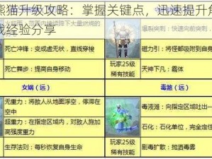 太极熊猫升级攻略：掌握关键点，迅速提升角色等级实战经验分享