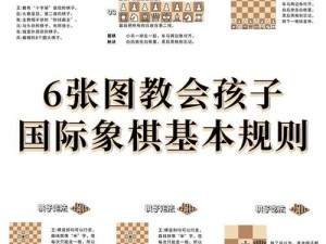 关于国际象棋软件的安装与配置详细说明