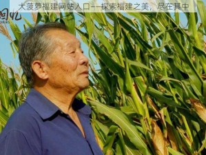 大菠萝福建网站入口——探索福建之美，尽在其中