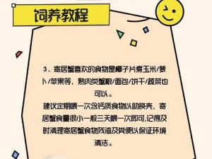 寄居蟹喂食指南：掌握营养搭配与喂食技巧，确保宠物健康成长