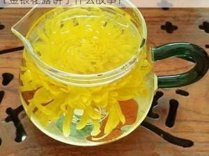 菊内留香Txl金银花露讲了什么,菊内留香 Txl 金银花露讲了什么故事？