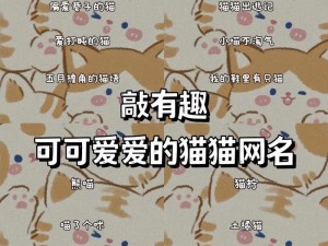 猫咪mv最新地域网名怎么取_猫咪 MV 最新地域网名怎么取？这里有一些建议