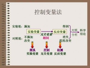 Control策略核心解析：掌握关键控制点的智慧与方法论探讨