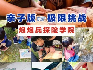 伟大航路GO极限挑战副本玩法深度解析与攻略指南：探索未知领域，挑战极限冒险