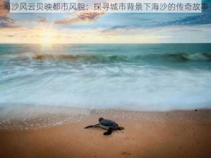 海沙风云贝映都市风貌：探寻城市背景下海沙的传奇故事