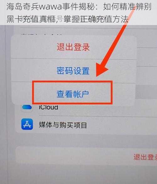 海岛奇兵wawa事件揭秘：如何精准辨别黑卡充值真相，掌握正确充值方法
