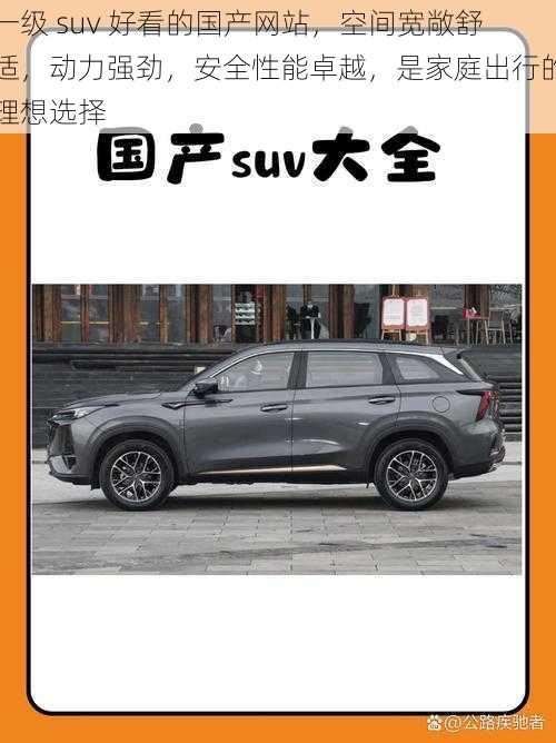 一级 suv 好看的国产网站，空间宽敞舒适，动力强劲，安全性能卓越，是家庭出行的理想选择