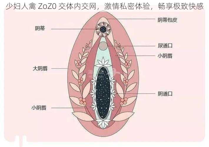 少妇人禽 ZoZ0 交体内交网，激情私密体验，畅享极致快感