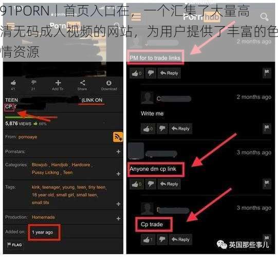 91PORN丨首页入口在，一个汇集了大量高清无码成人视频的网站，为用户提供了丰富的色情资源