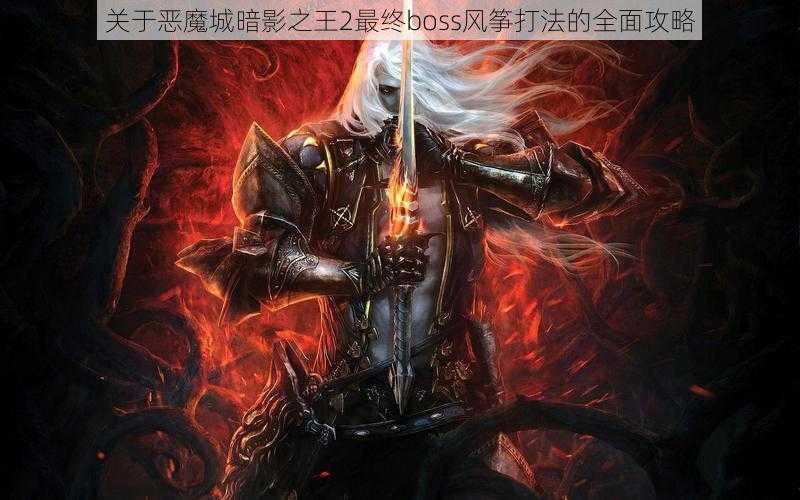 关于恶魔城暗影之王2最终boss风筝打法的全面攻略