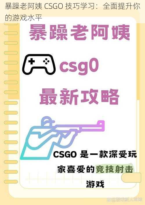 暴躁老阿姨 CSGO 技巧学习：全面提升你的游戏水平