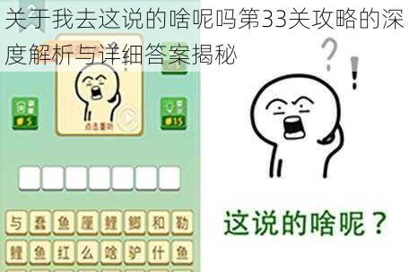关于我去这说的啥呢吗第33关攻略的深度解析与详细答案揭秘