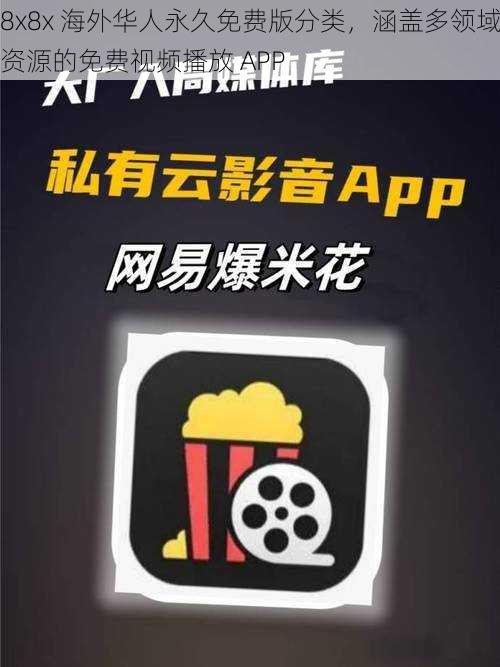 8x8x 海外华人永久免费版分类，涵盖多领域资源的免费视频播放 APP