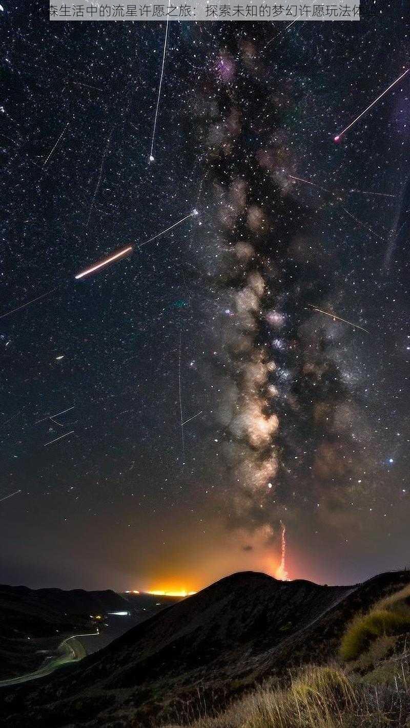 小森生活中的流星许愿之旅：探索未知的梦幻许愿玩法体验