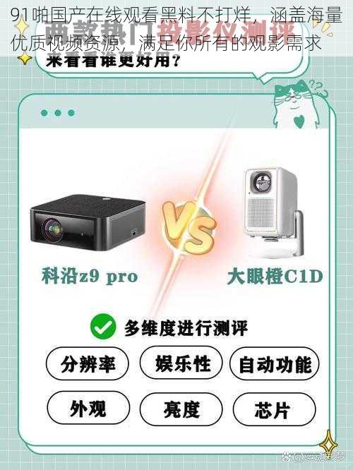 91啪国产在线观看黑料不打烊，涵盖海量优质视频资源，满足你所有的观影需求