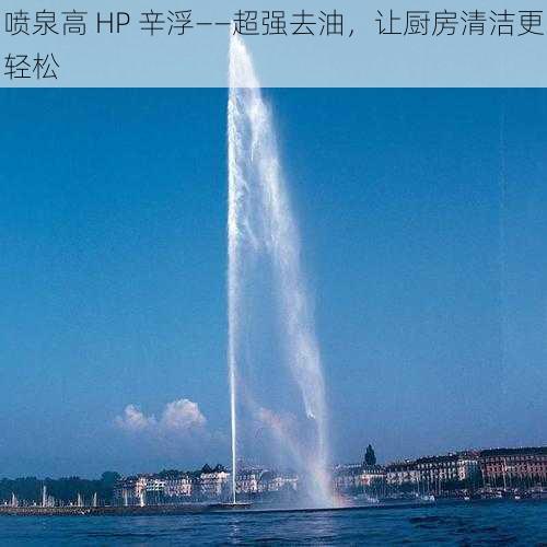 喷泉高 HP 辛浮——超强去油，让厨房清洁更轻松