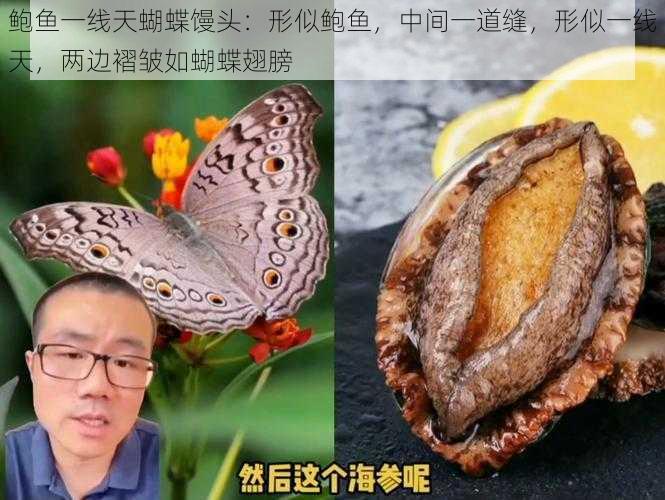 鲍鱼一线天蝴蝶馒头：形似鲍鱼，中间一道缝，形似一线天，两边褶皱如蝴蝶翅膀