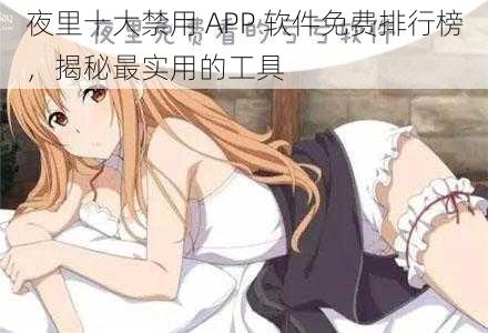 夜里十大禁用 APP 软件免费排行榜，揭秘最实用的工具