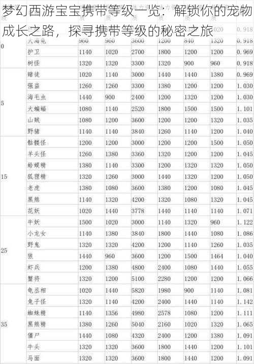 梦幻西游宝宝携带等级一览：解锁你的宠物成长之路，探寻携带等级的秘密之旅