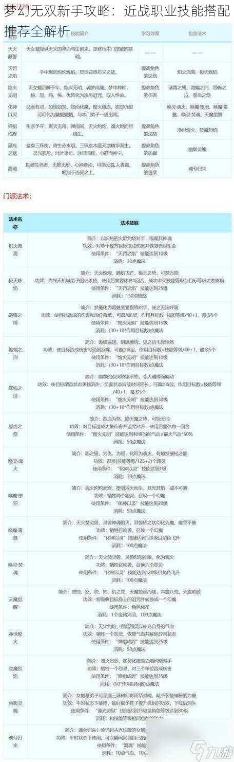 梦幻无双新手攻略：近战职业技能搭配推荐全解析