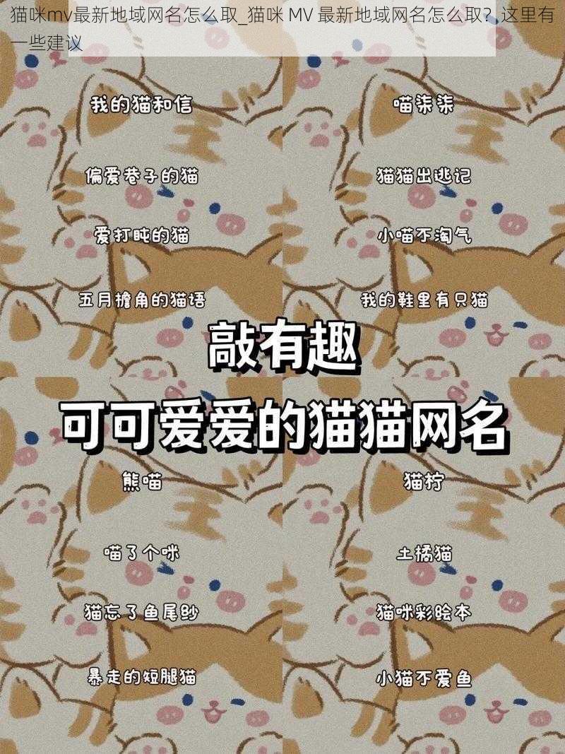 猫咪mv最新地域网名怎么取_猫咪 MV 最新地域网名怎么取？这里有一些建议