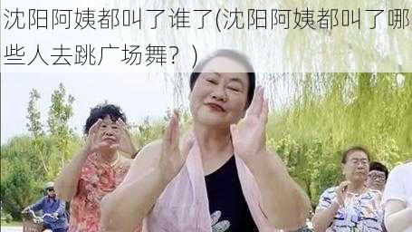 沈阳阿姨都叫了谁了(沈阳阿姨都叫了哪些人去跳广场舞？)