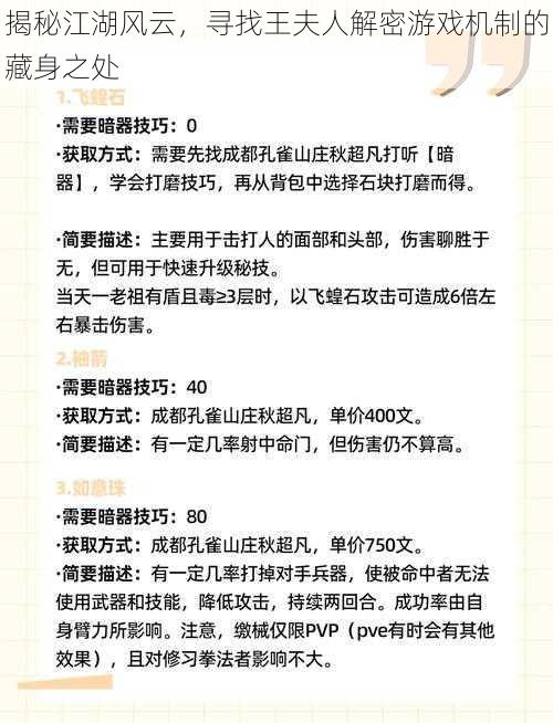 揭秘江湖风云，寻找王夫人解密游戏机制的藏身之处