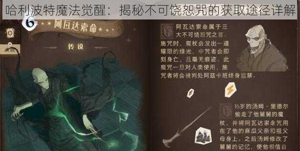 哈利波特魔法觉醒：揭秘不可饶恕咒的获取途径详解