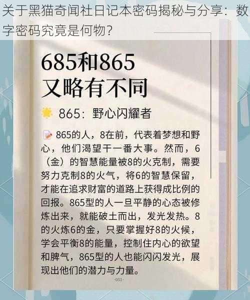 关于黑猫奇闻社日记本密码揭秘与分享：数字密码究竟是何物？