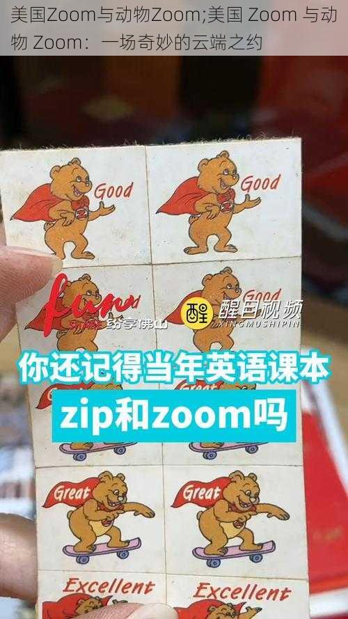 美国Zoom与动物Zoom;美国 Zoom 与动物 Zoom：一场奇妙的云端之约