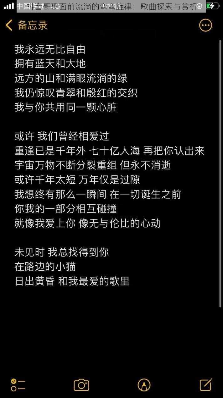 抖音哥哥面前流淌的弯弯旋律：歌曲探索与赏析