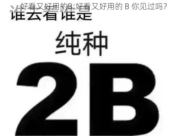 好看又好用的B;好看又好用的 B 你见过吗？