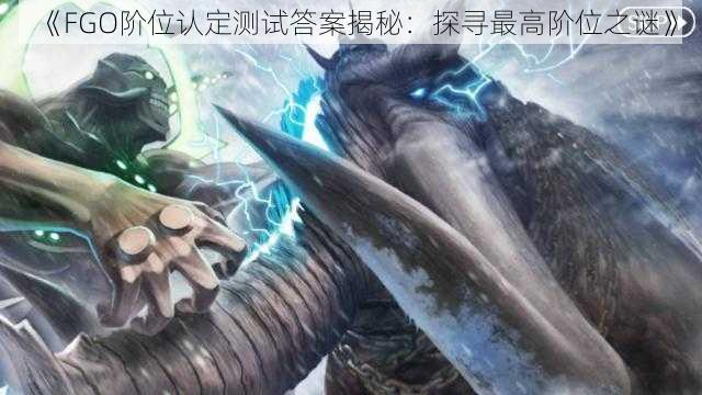 《FGO阶位认定测试答案揭秘：探寻最高阶位之谜》