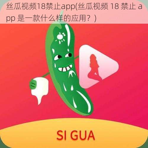 丝瓜视频18禁止app(丝瓜视频 18 禁止 app 是一款什么样的应用？)